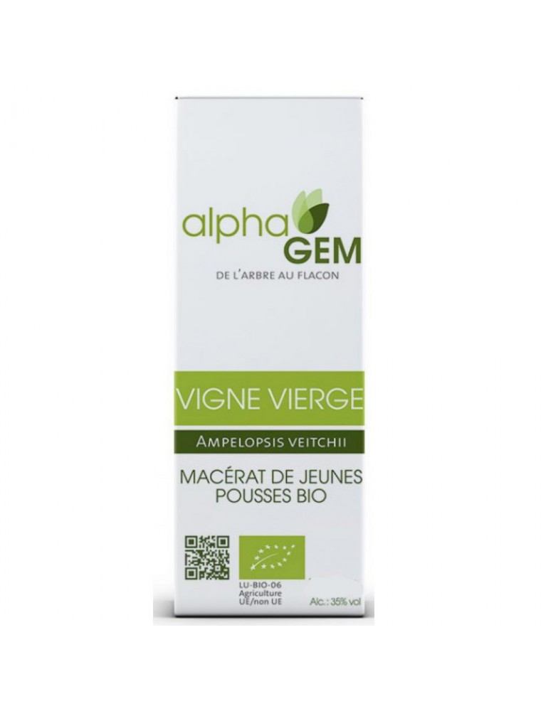 Image principale de la modale pour Vigne vierge Macérat Jeunes Pousses Bio - Ampelopsis veitchii 50 ml - Alphagem