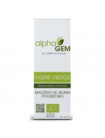 Image de Vigne vierge Macérat Jeunes Pousses Bio - Ampelopsis veitchii 50 ml - Alphagem depuis Bourgeons de gemmothérapie unitaires, en complexes, en gommes ou sans alcool. (12)
