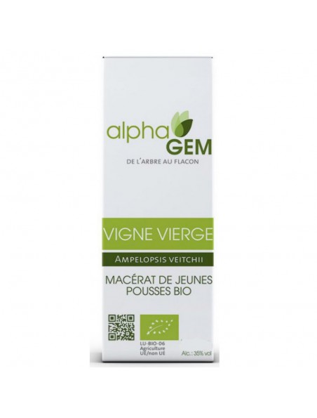 Image principale de Vigne vierge Macérat Jeunes Pousses Bio - Ampelopsis veitchii 50 ml - Alphagem