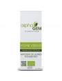 Image de Virginia Creeper Macerate Young Shoots Organic - Ampelopsis veitchii 50 ml - Alphagem via Buy Cartilyon - Cartilage and Connective Tissue Trace Elements 1000