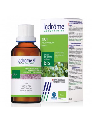 Image de Gui Bio - Circulation Teinture mère Viscum album 50 ml - Ladrôme depuis ▷ Meilleures ventes de plantes médicinales à l'herboristerie