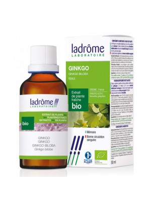 Image de Ginkgo Bio - Circulation et Mémoire Teinture-mère Ginkgo biloba 100 ml - Ladrôme depuis Achetez les produits Ladrôme à l'herboristerie Louis