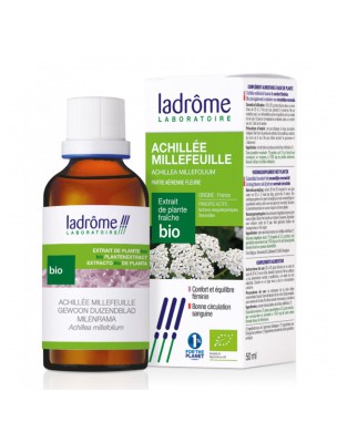 Image de Achillée millefeuille Bio - Cycle féminin Teinture-mère Achillea millefolium 50 ml - Ladrôme depuis Résultats de recherche pour "Sirop pour la r"