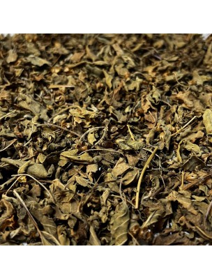 Image de Basilic Sacré (Tulsi) Bio - Partie aérienne coupée 100g - Tisane d'Ocimum sanctum via Basilic sacré Tulsi 500 mg - Vit'all+