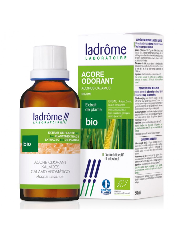 Image principale de la modale pour Acore odorant Bio - Digestion Teinture-mère d'Acorus calamus 50 ml - Ladrôme