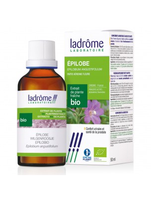 Image de Epilobe Bio - Prostate Teinture-mère Epilobium angustifolium 50 ml - Ladrôme depuis Résultats de recherche pour "Epilobe Bio - P"