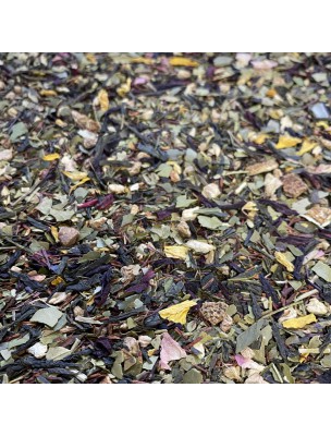 Image de Zeste d'Été Bio - Mélange de Plantes - 100g depuis Théière en Fonte Iwachu Arare Noire - 900 ml