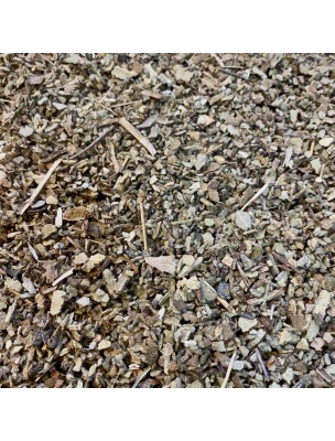 Image de Bouillon blanc (Molène) Bio - Sommité fleurie coupée 100g - Tisane de Verbascum thapsus L depuis Résultats de recherche pour "Balade %EF%BF%BD%EF%BF%BD S%EF%BF%BD%EF%BF%BDvill"