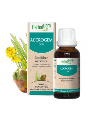 Image de AccroGEM GC31 - Equilibre Nerveux 30 ml - Herbalgem depuis Bourgeons complexes | Phytothérapie et herboristerie