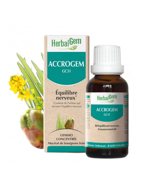 Image principale de AccroGEM GC31 - Equilibre Nerveux 30 ml - Herbalgem