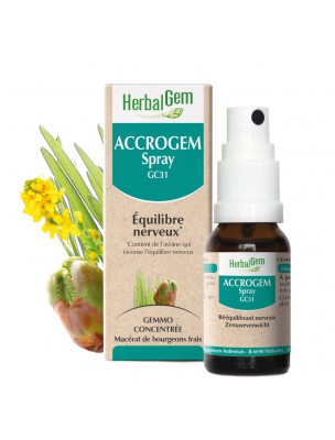 Image de AccroGEM GC31 - Equilibre Nerveux Spray 15 ml - Herbalgem depuis Herboristerie Louis - Produits de phytothérapie et d'herboristerie en ligne