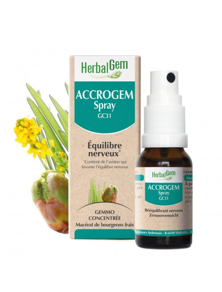 Image principale de AccroGEM GC31 - Equilibre Nerveux Spray 15 ml - Herbalgem