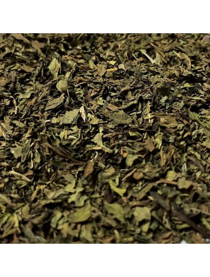 Image de Menthe Nanah dite Douce Bio - Feuilles coupées 100g - Tisane de Mentha spicata var nanah depuis Achetez des épices et aromates naturels en ligne (2)