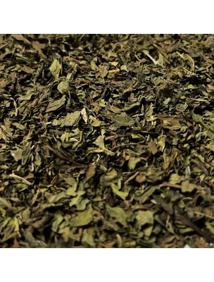 Image de Menthe Nanah dite Douce Bio - Feuilles coupées 100g - Tisane de Mentha spicata var nanah depuis Commandez les produits Louis Bio à l'herboristerie Louis