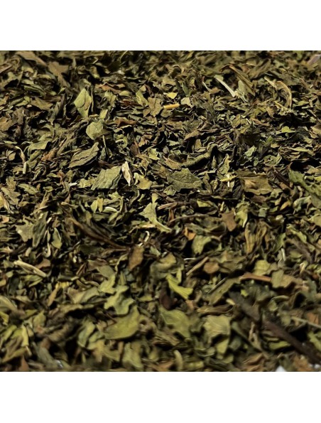 Achetez Menthe Nanah dite Douce Bio - Feuilles coupées 100g - Tisane de Mentha spicata var nanah à l'herboristerie Louis Image principale de Menthe Nanah dite Douce Bio - Feuilles coupées 100g - Tisane de Mentha spicata var nanah