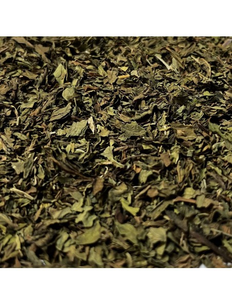 Image principale de Menthe Nanah dite Douce Bio - Feuilles coupées 100g - Tisane de Mentha spicata var nanah