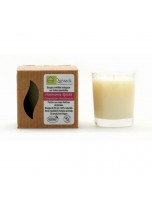 Image de Bougie Harmonie Epicée - Notes fraîches et épicées 80g - Quésack depuis Relaxez-vous avec nos produits de phytothérapie et d'herboristerie