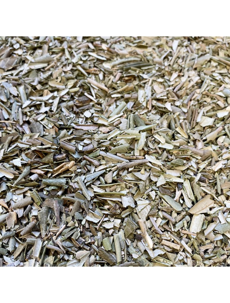 Image principale de la modale pour Olivier - Feuilles coupées 100g - Tisane d'Olea europaea L.