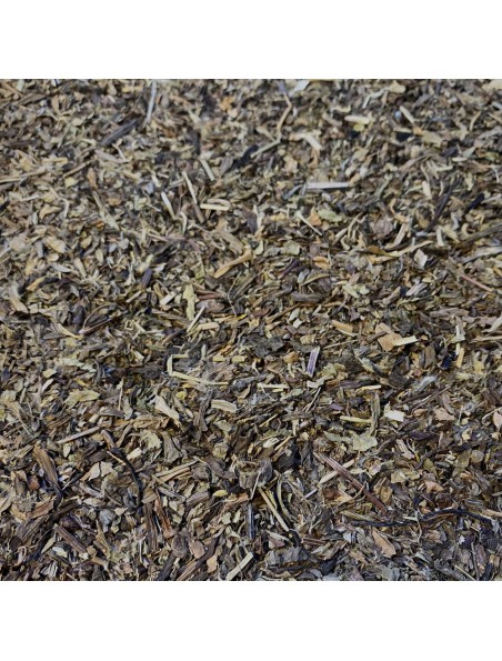 Achetez Plantain Bio - Feuilles coupées 100g - Tisane de Plantago major L. à l'herboristerie Louis Image principale de Plantain Bio - Feuilles coupées 100g - Tisane de Plantago major L.