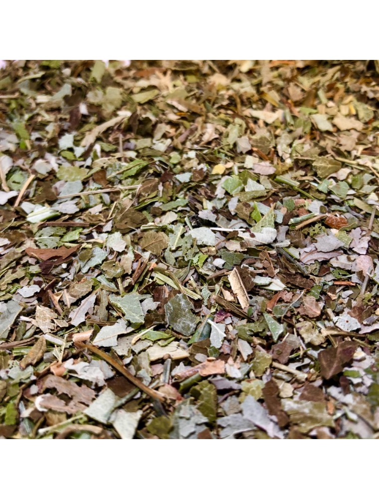 Tisane d'Eucalyptus Bio - Eucalyptus globulus - Feuille coupée en Vrac 100g