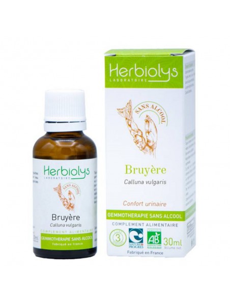 Image principale de Bruyère Macérât de jeunes pousses fraîches Sans Alcool Bio - Confort Urinaire 30 ml - Herbiolys