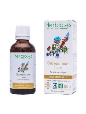 Image de Sureau noir (Baie) Bio - Antioxydant et Articulations Teinture-mère Sambucus nigra 50 ml - Herbiolys depuis Achetez des teintures mères unitaires pour votre bien-être | Phyto&Herba (7)