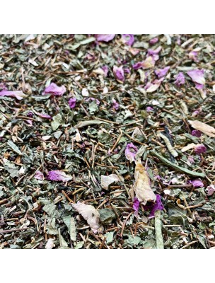 Image de Tisane Minceur N°1 Elimination - Mélange de Plantes - 100 grammes depuis PrestaBlog
