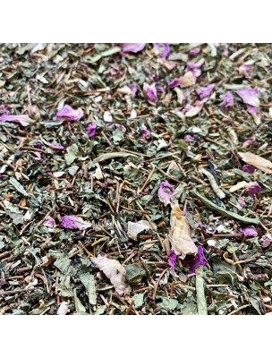 Image de Tisane Minceur N°1 Elimination - Mélange de Plantes - 100 grammes via Châtaignier bourgeon Bio - Herbalgem