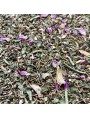 Image de Tisane Minceur N°1 Elimination - Mélange de Plantes - 100 grammes via Châtaignier bourgeon Bio - Drainage et circulation 30 ml -