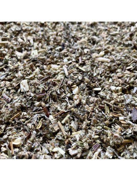 Image principale de Armoise Bio - Feuilles et Tiges 100g - Tisane d'Artemisia vulgaris L.