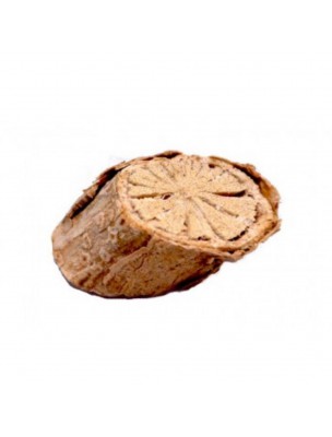 Image 60139 supplémentaire pour Guduchi tige poudre - Défenses naturelles 100g - Samskara