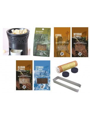 Image de Résines aromatiques - Les Coffrets de l'Herboriste depuis Encens Mont Fuji - 40 bâtonnets - Les Encens du Monde