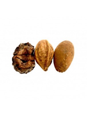 Image 60294 supplémentaire pour Triphala poudre - Digestion 100g - Samskara