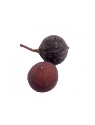 Image 60319 supplémentaire pour Vidanga fruit poudre - Défenses naturelles 100g - Samskara