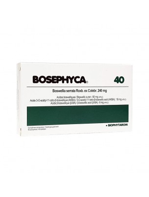 Image de BosePhyca - Boswellia serrata 240 mg 40 comprimés - Biophytarom depuis Résultats de recherche pour "Les anti-inflam"