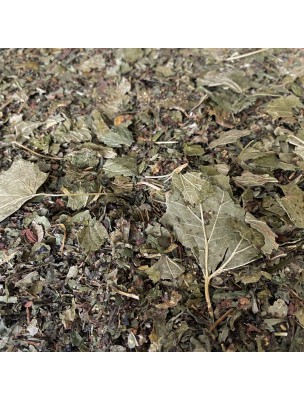 Image de Tisane Minceur N°5 Drainage - Mélange de Plantes - 100 grammes depuis Thé vert Bio - Minceur 120 capsules - Purasana