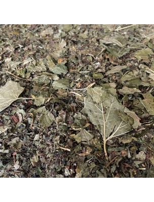 Image de Tisane Minceur N°5 Silhouette - Mélange de Plantes - 100 grammes via Tisane Minceur N°8 Bio Drainage - 100g