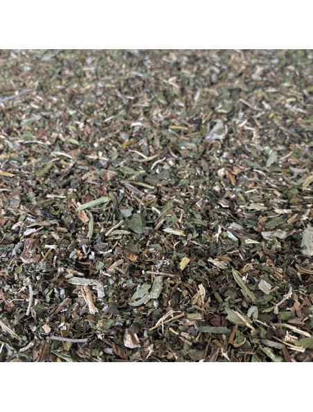 Achetez Tisane Beauté N°2 Cheveux et Ongles - Mélange de Plantes - 100 grammes à l'herboristerie Louis Image principale de Tisane Beauté N°2 Cheveux et Ongles - Mélange de Plantes - 100 grammes