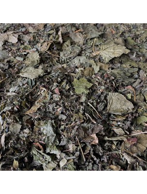 Image de Tisane Articulations N°2 Souplesse - Mélange de plantes - 100 grammes via ArtiGEM GC02 Bio - Soulage et entretient les articulations - Herbalgem