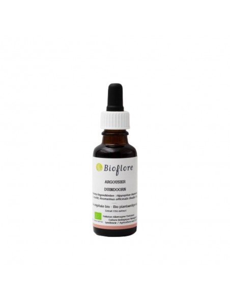 Image principale de Argousier Bio - Huile végétale Hippophae rhamnoides 30 ml - Bioflore