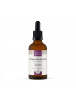 Image de Figue de Barbarie Bio - Huile Anti-âge 50 ml - Comptoir des Huiles depuis Huiles essentielles - Découvrez nos produits naturels (9)