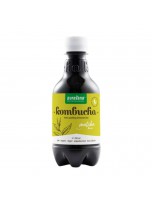 Image de Kombucha Matcha Bio - Détox 330 ml - Purasana depuis Matcha : Thé vert aux multiples bienfaits - Vente en ligne