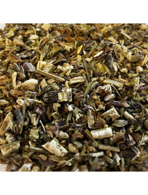 Image de Sauge Sclarée Bio - Partie aérienne coupée 100g - Tisane de Salvia sclarea L. depuis Résultats de recherche pour "Guide des contr"