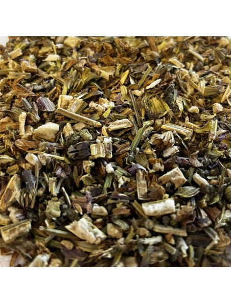 Achetez Sauge Sclarée Bio - Partie aérienne coupée 100g - Tisane de Salvia sclarea à l'herboristerie Louis Image principale de Sauge Sclarée Bio - Partie aérienne coupée 100g - Tisane de Salvia sclarea