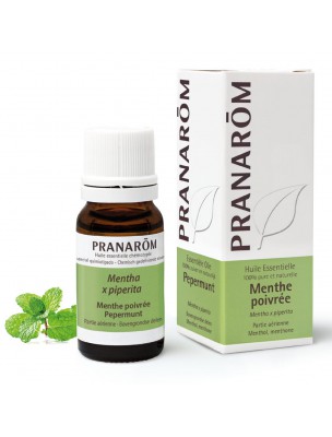 Image de Menthe poivrée - Huile essentielle Mentha x piperita 10 ml - Pranarôm depuis Résultats de recherche pour "Set of 2 Porcel"