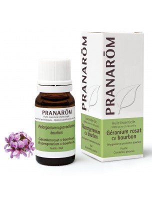Image de Géranium rosat cv Bourbon - Pelargonium x graveolens 10 ml - Pranarôm depuis Huiles essentielles pour les voies urinaires