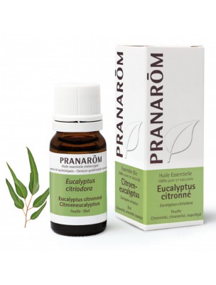 Image de Eucalyptus citronné - Huile essentielle d'Eucalyptus citriodora 10 ml - Pranarôm depuis Achetez les produits Pranarôm à l'herboristerie Louis (3)