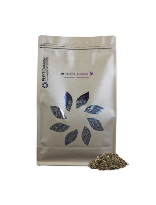 Image de Phyto Jument - Comportement des chevaux 1kg - Phyto Master depuis Achetez les produits Phyto Master à l'herboristerie Louis