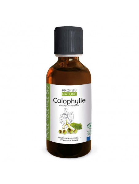 Image principale de Calophylle Bio - Huile végétale Calophyllum inophyllum 50 ml - Propos Nature