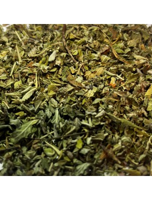Image de Damiana - Cut leaf 100g - Herbal tea from Turnera aphrodisiaca depuis Plants for your sexuality